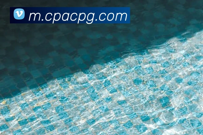 App Interface Preview